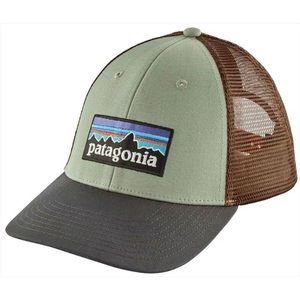 Patagonia P-6 Logo LoPro Trucker Hat Celadon
